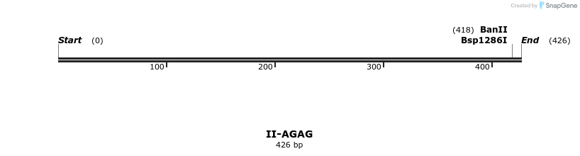 58518_map