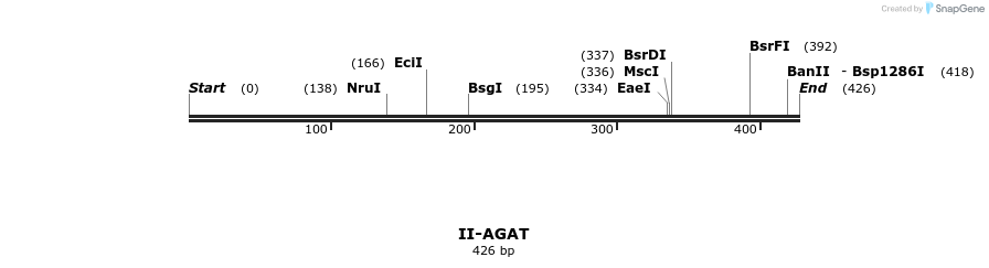 58519_map