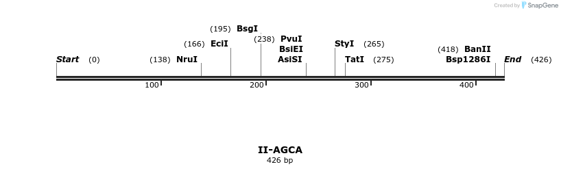 58520_map
