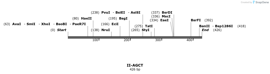 58523_map