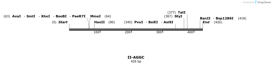 58525_map