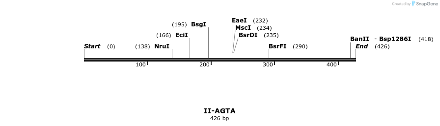58528_map
