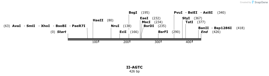 58529_map
