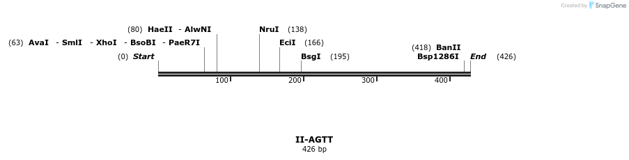 58531_map