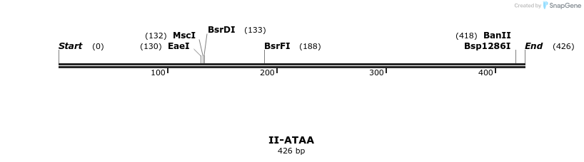 58532_map