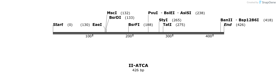 58536_map
