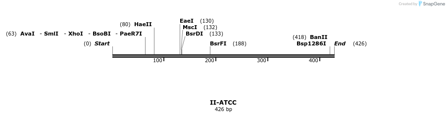 58537_map