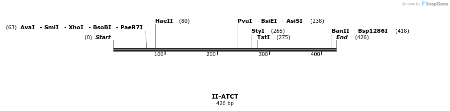 58539_map
