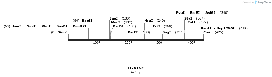 58541_map