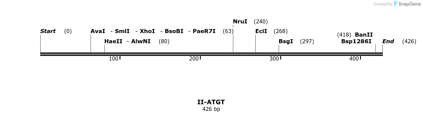 58543_map