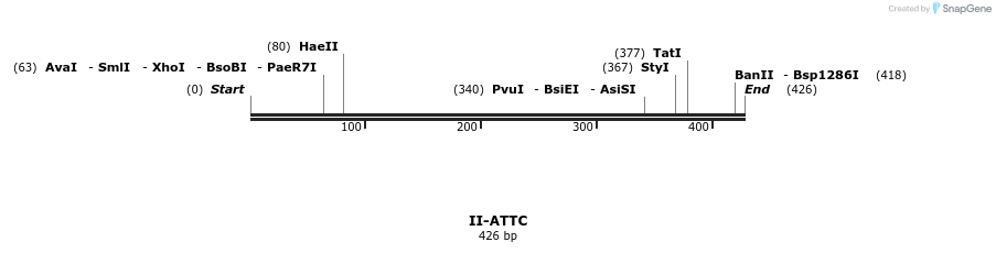 58545_map