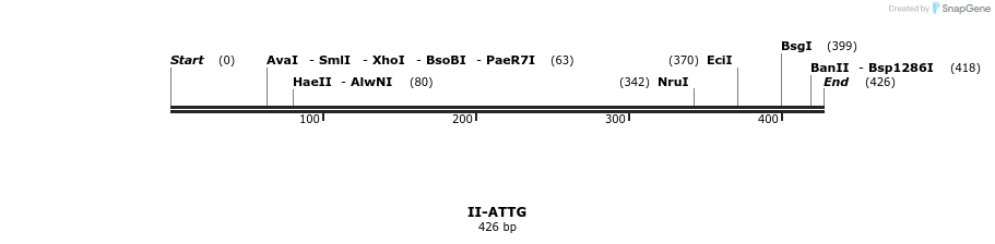 58546_map
