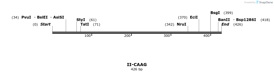 58550_map