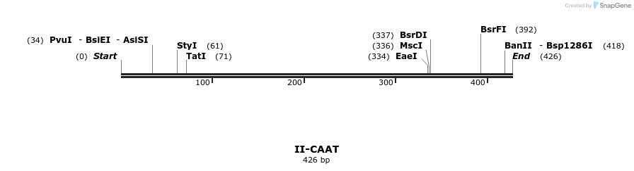 58551_map