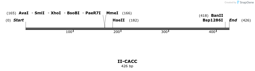 58553_map