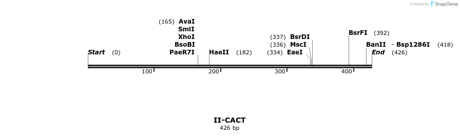 58555_map