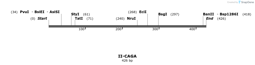 58556_map