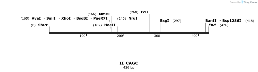 58557_map