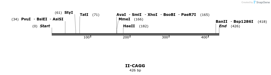 58558_map