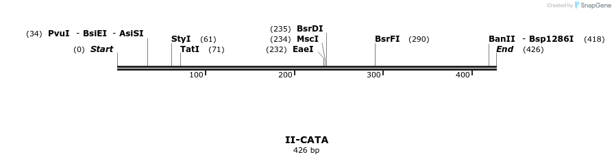 58560_map