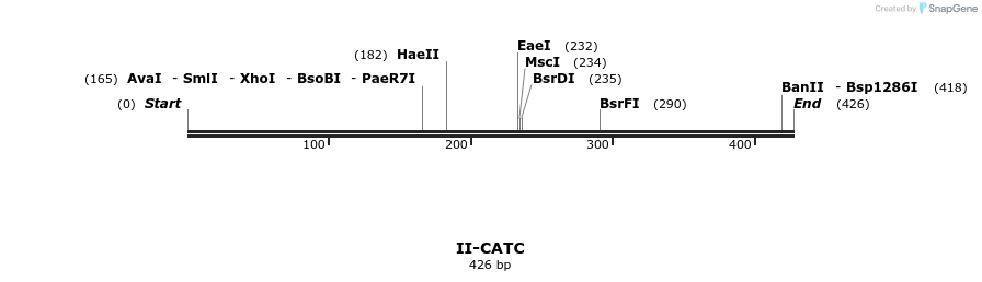 58561_map