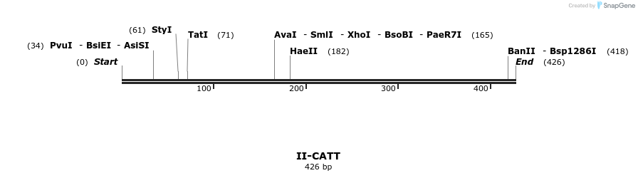 58563_map