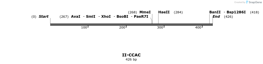 58565_map