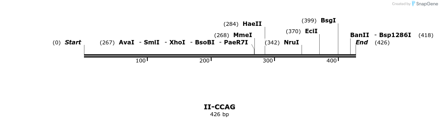 58566_map