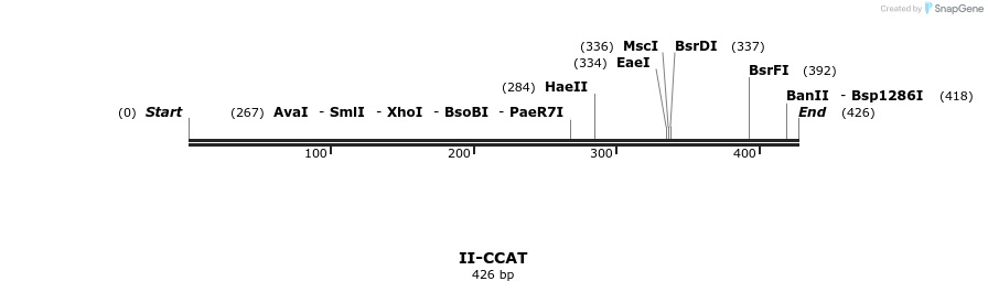 58567_map