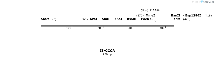 58568_map