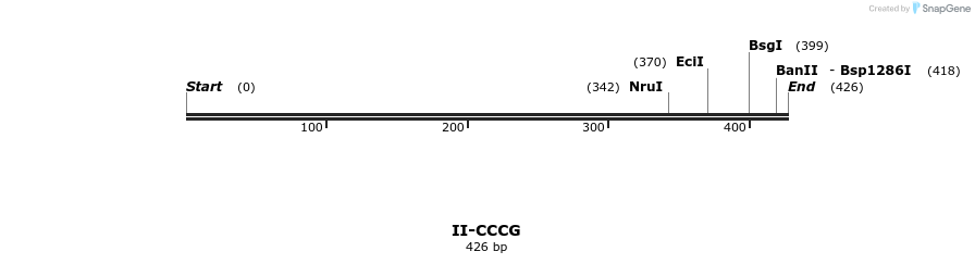 58570_map