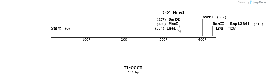 58571_map
