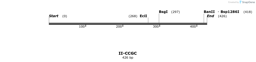 58573_map