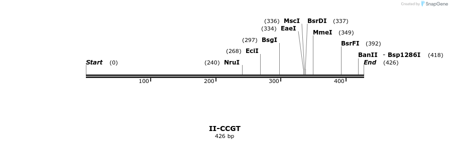 58575_map