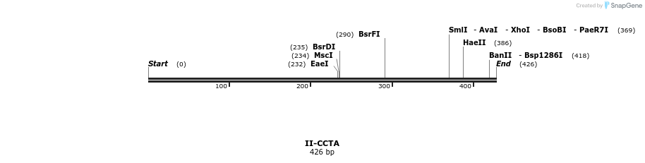 58576_map