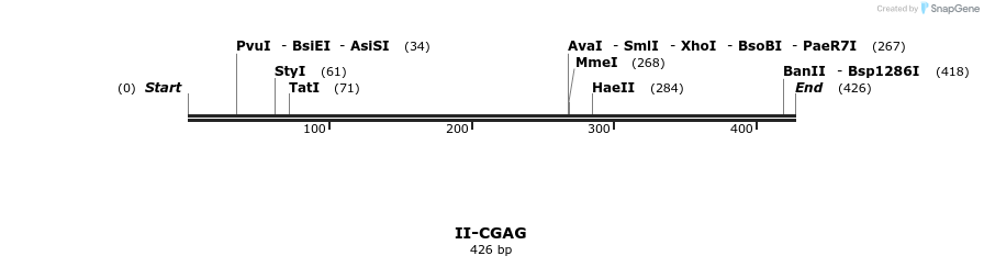 58582_map