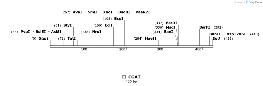 58583_map