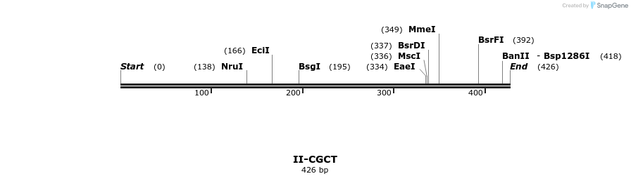 58587_map