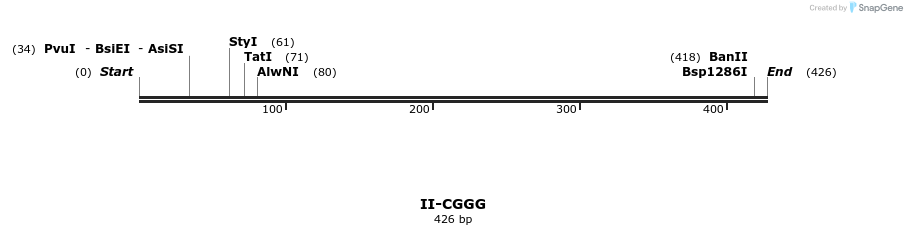 58590_map