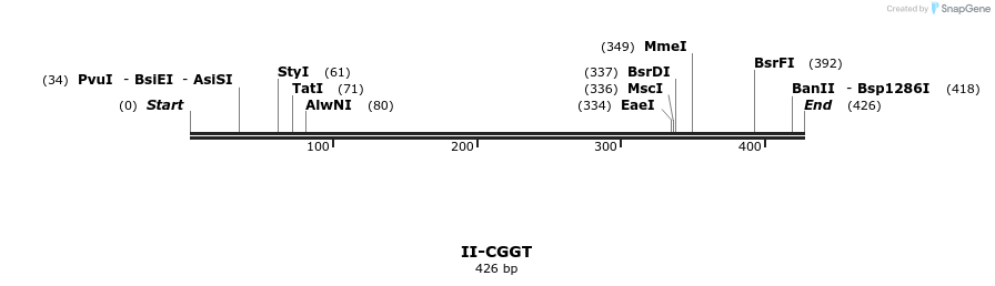 58591_map
