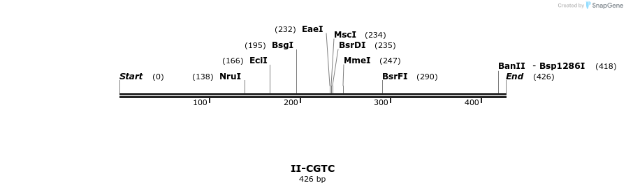 58593_map