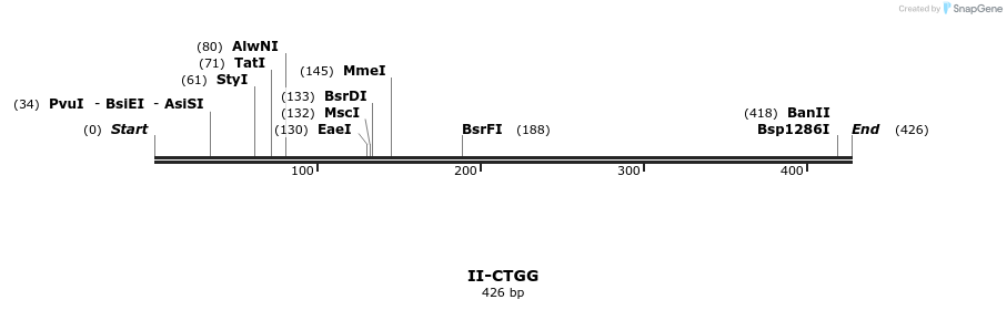 58606_map