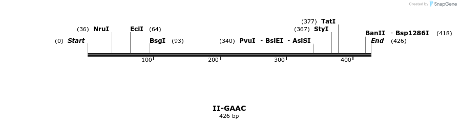 58613_map