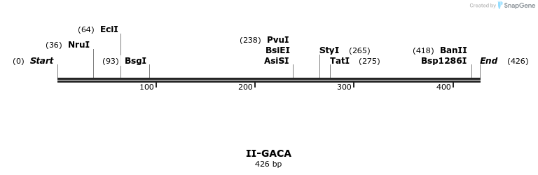 58616_map