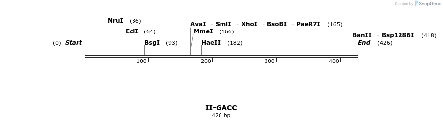 58617_map