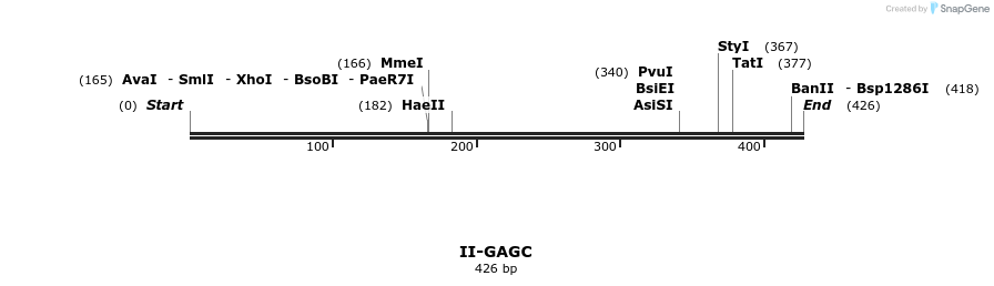 58621_map