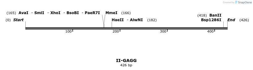 58622_map