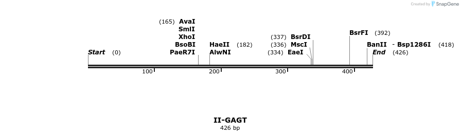58623_map