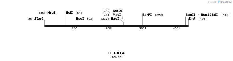 58624_map