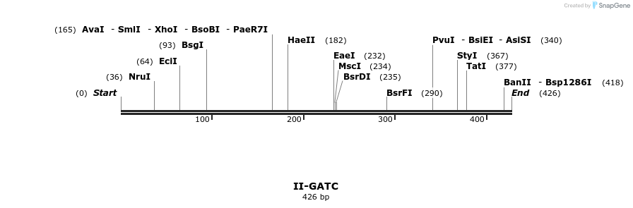 58625_map
